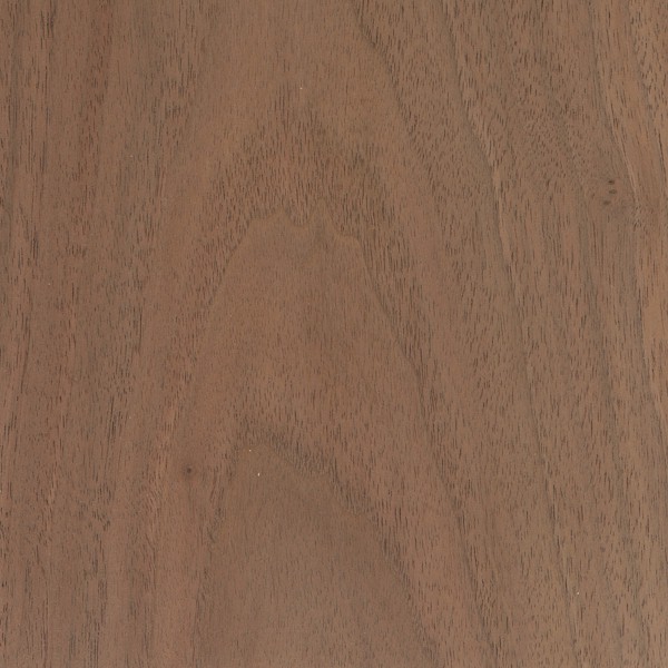 Black Walnut